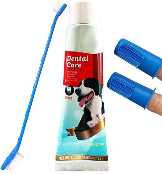 Set Dental