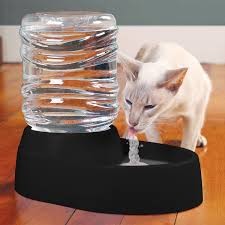 Pet Water Fountain