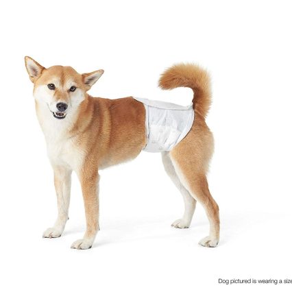 Pañal para perro Macho