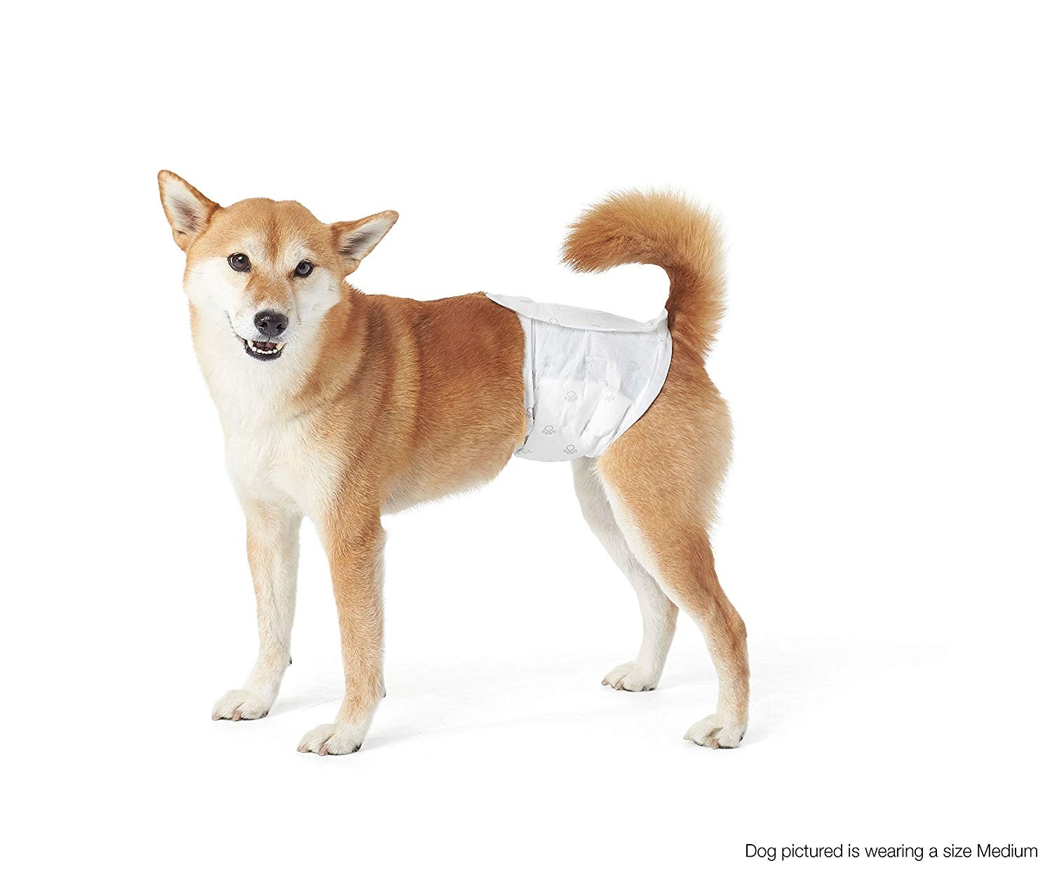 Pañal para perro Macho