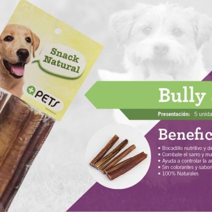 Bully Sticks MASQPETS