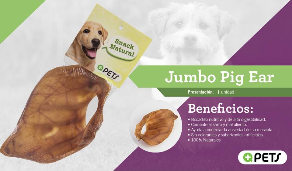 Jumbo Pig Ear MASQPETS