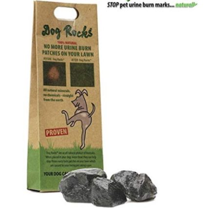 Dog Rocks