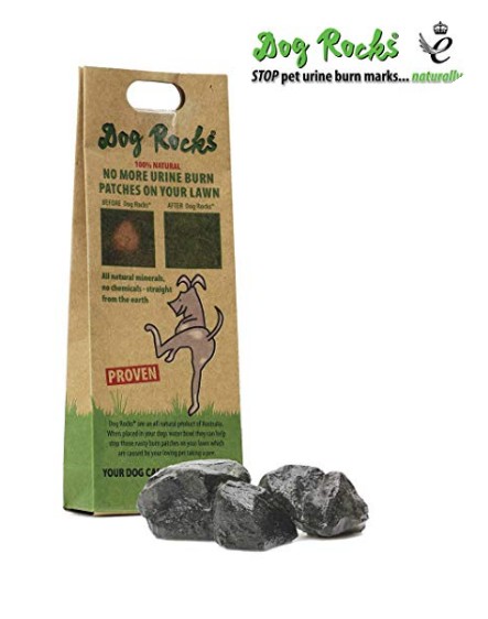 Dog Rocks