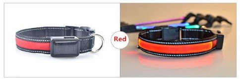 Collar LED Rojo S