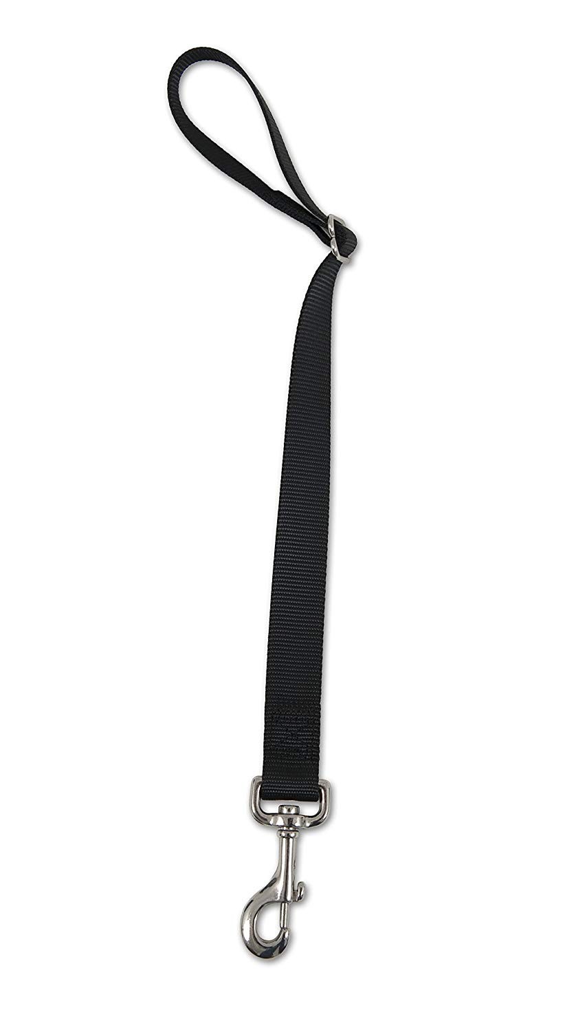 Seat Belt Loop