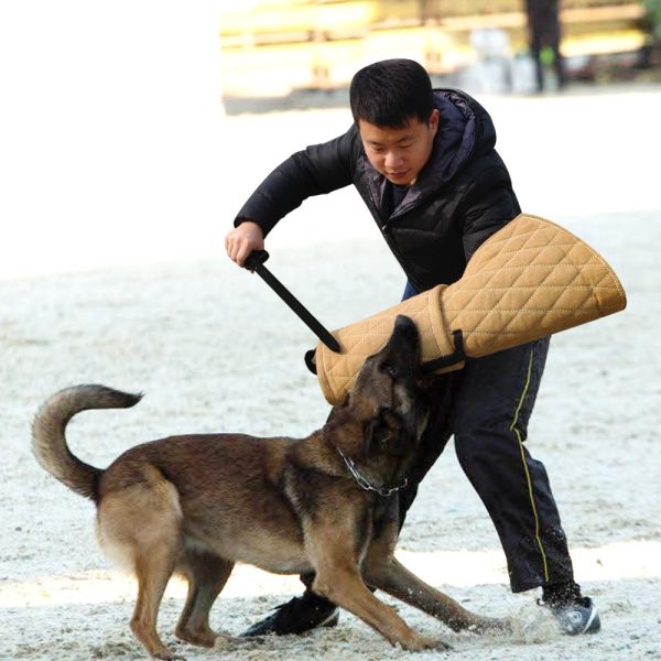 Manga + palo para entrenar perros