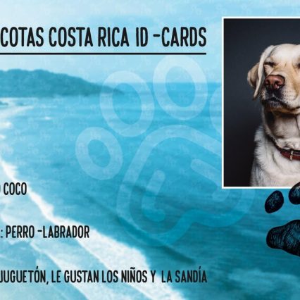ID Card Cedula Costa Rica