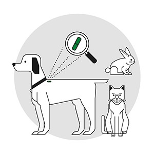 Microchip de identificación