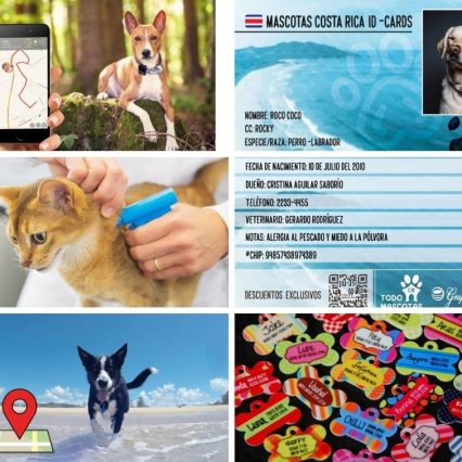 Kit completo de localización