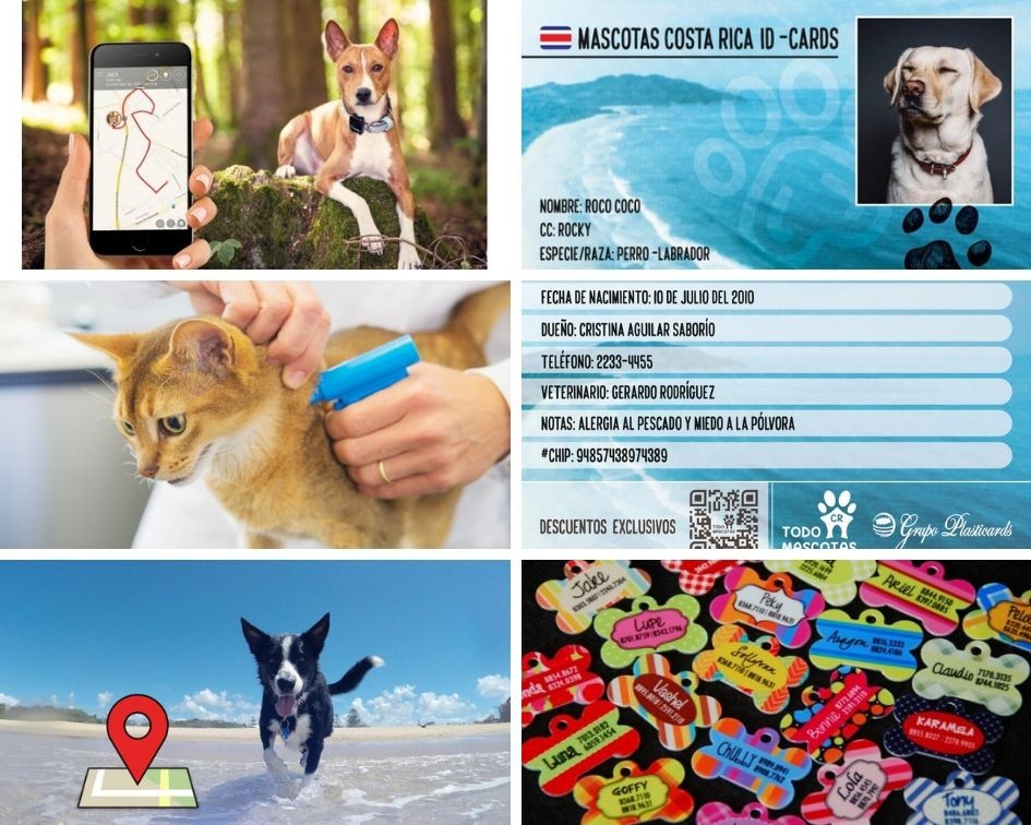 Kit completo de localización