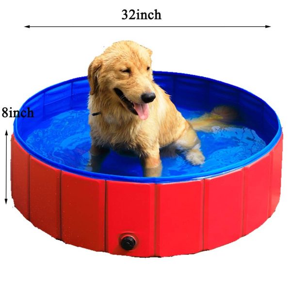 Piscina portátil para mascotas