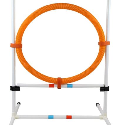 Juego para play agility