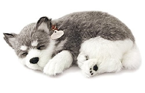 Perfect Petzzz Puppy
