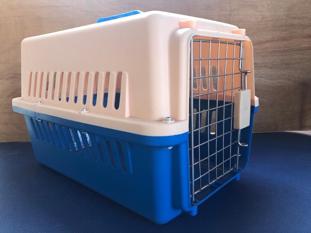 Transportadora pequeña azul