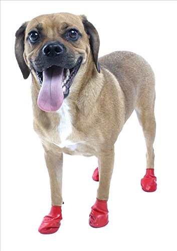 Bota para perros a prueba de agua Pawz