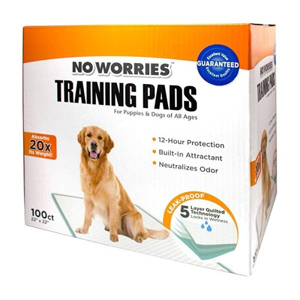 TRAINING PADS NO WORRIES