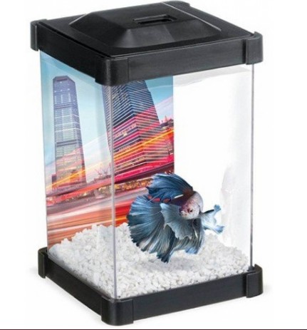 Marina Betta Kit Torre Acuario