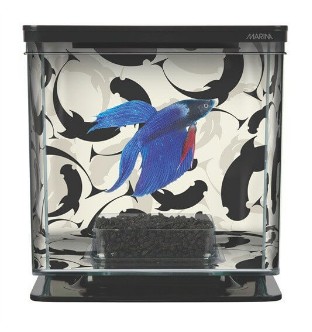 PECERA BETTA KIT DECORATIVA