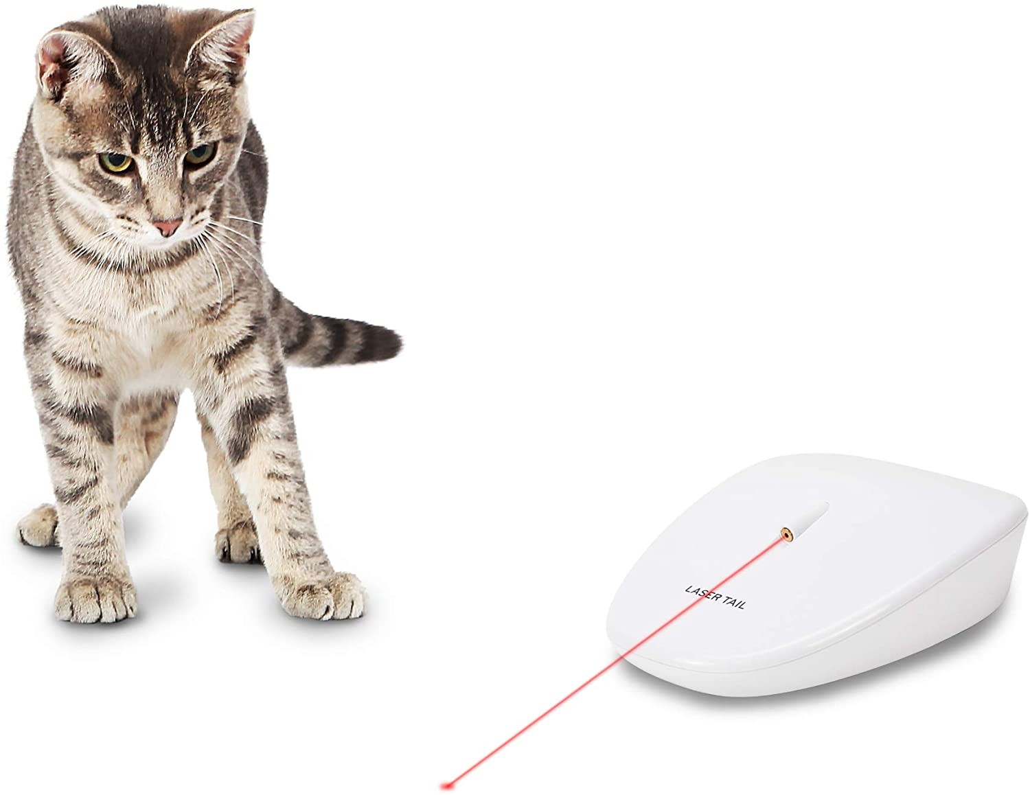PetSafe Juguete láser automático