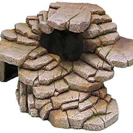 Reptology Shale