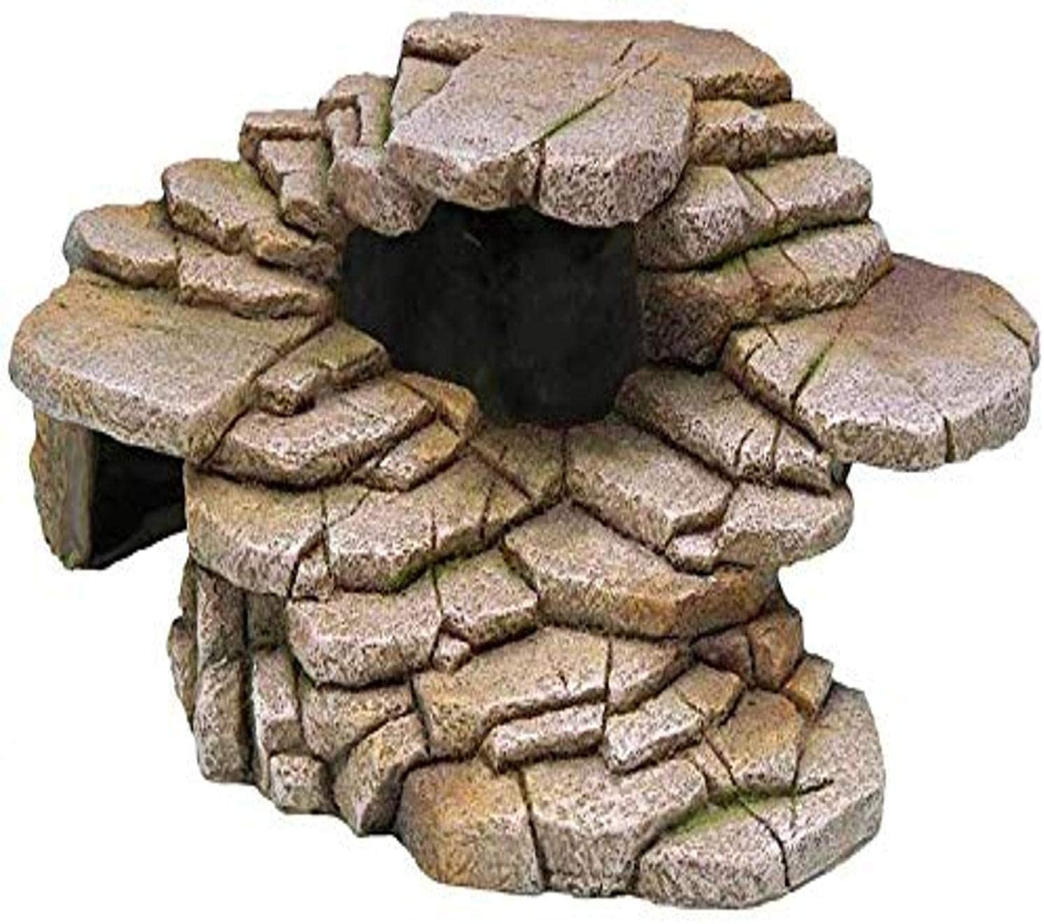 Reptology Shale