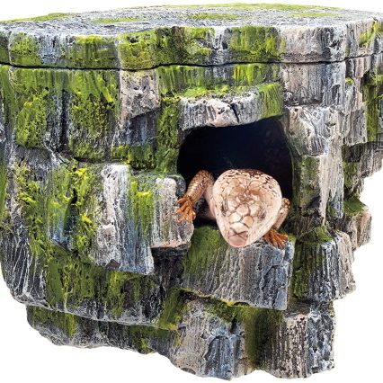 Cueva de roca