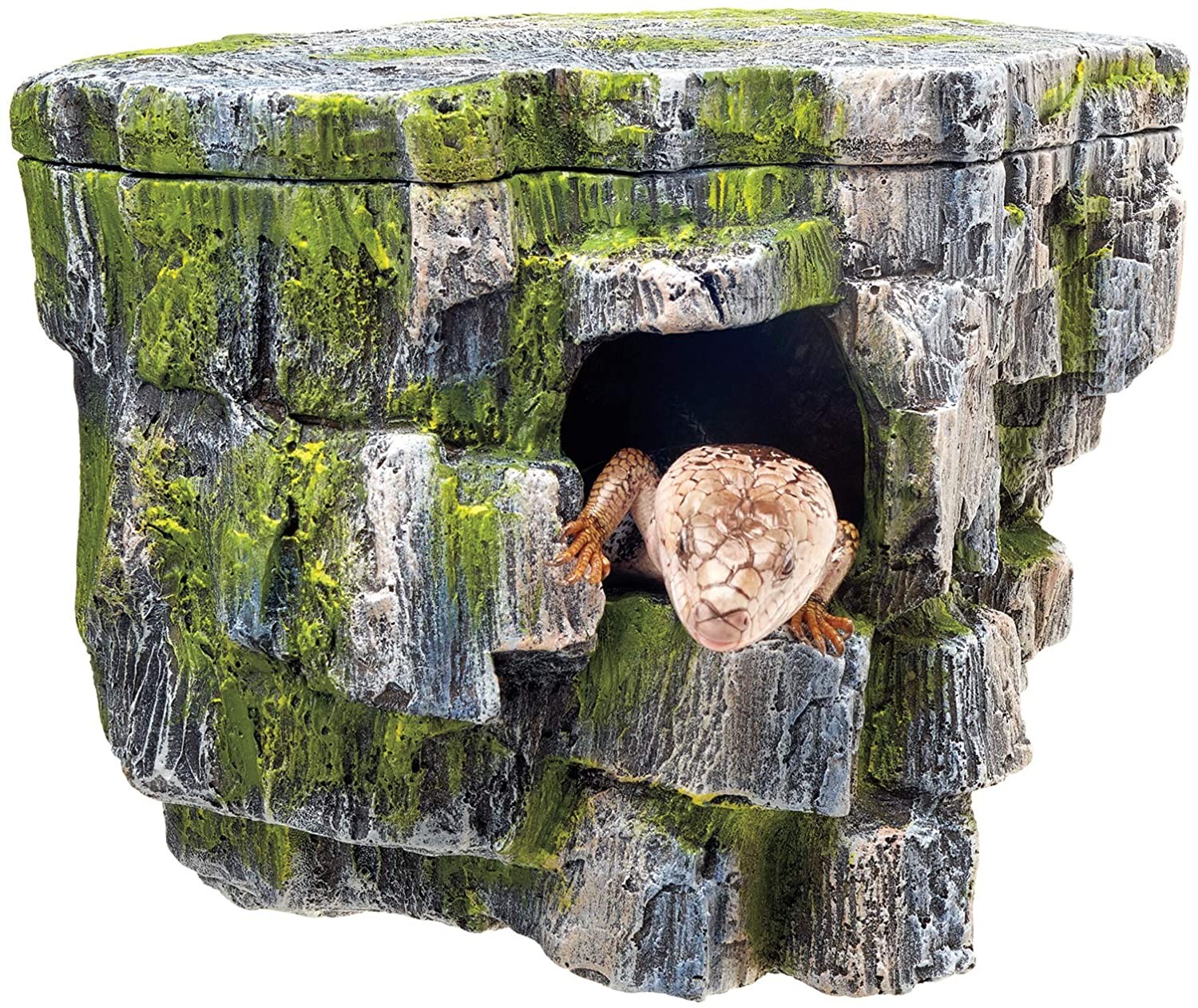 Cueva de roca
