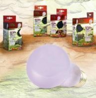 Bombillo Zl Day White 100 W Incandescent