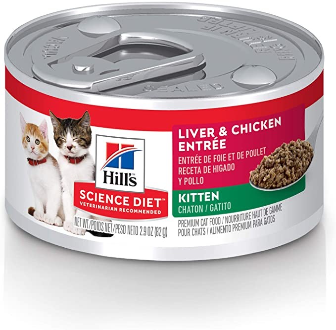 Hill's Science Diet Kitten, alimento para gatitos 156gr