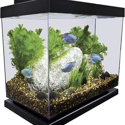 Pecera Kit 4 Gal