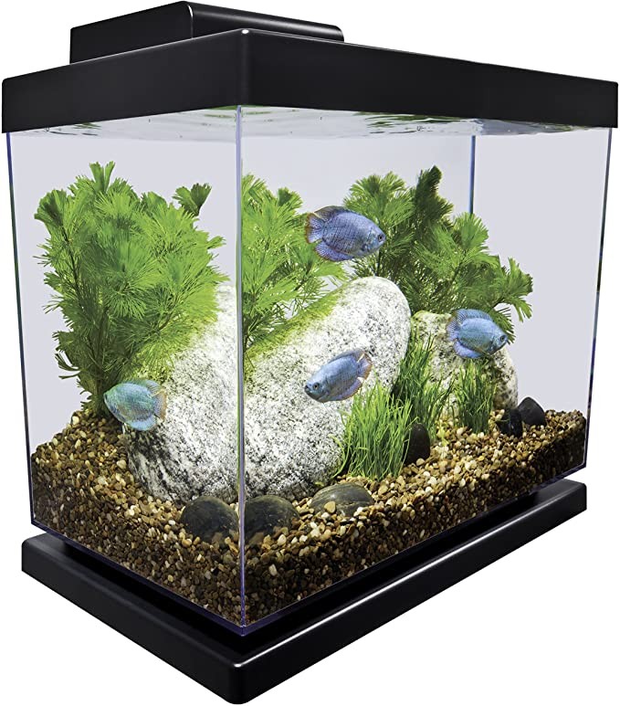 Pecera Kit 4 Gal