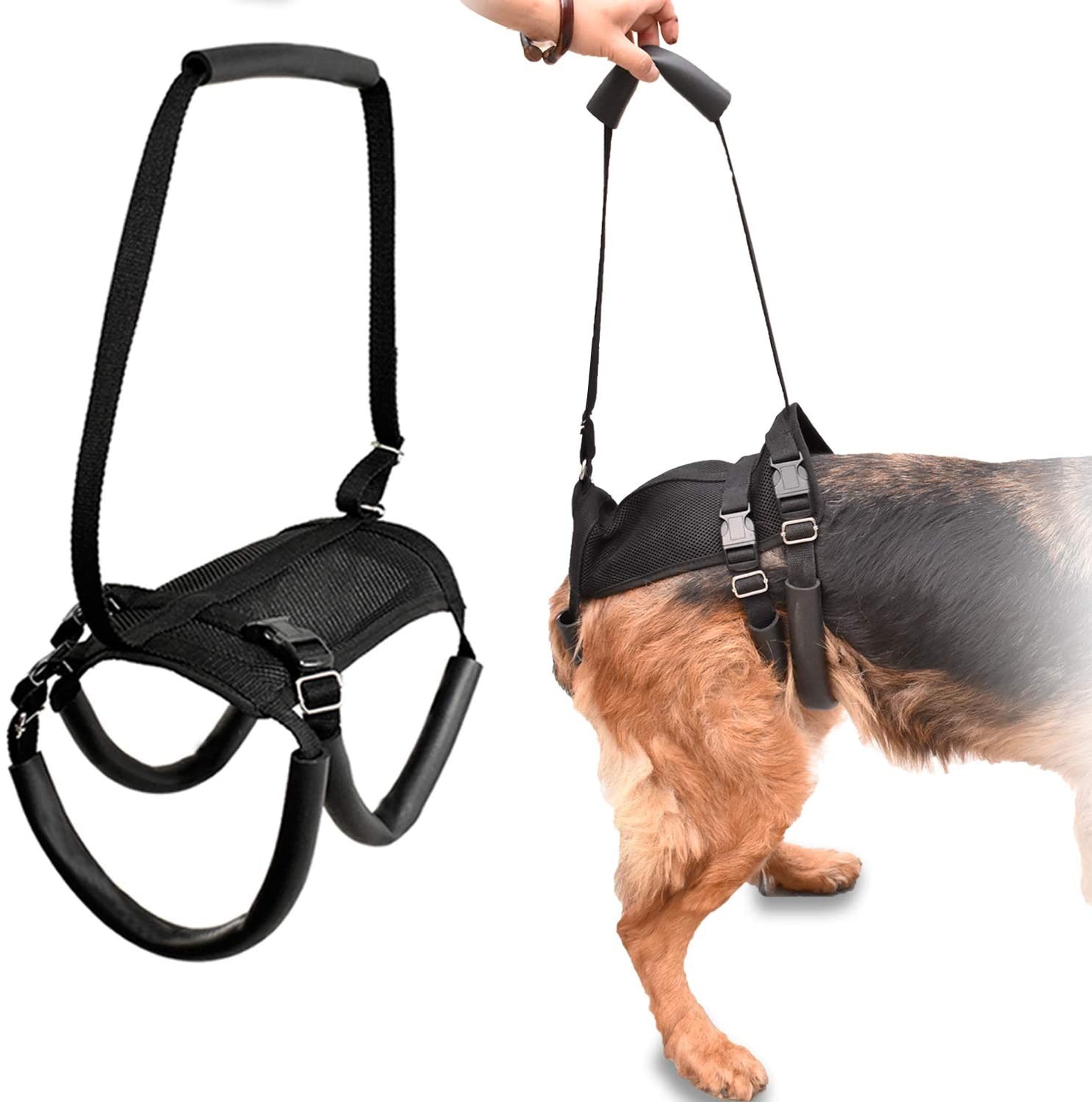Arnés de soporte para perro LOOBANI para patas traseras