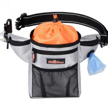 Bolsa De Entrenamiento