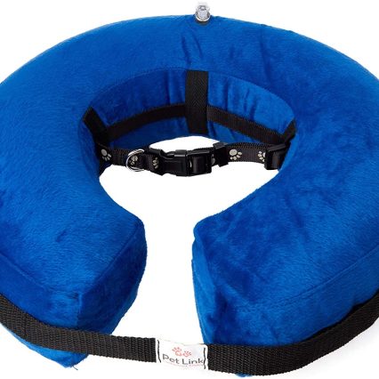 Collar isabelino inflable para perro