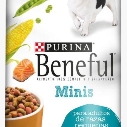 Beneful Minis - Salmón 2kg