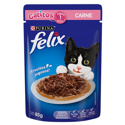 Purina Felix Adultos y Gatitos Carne