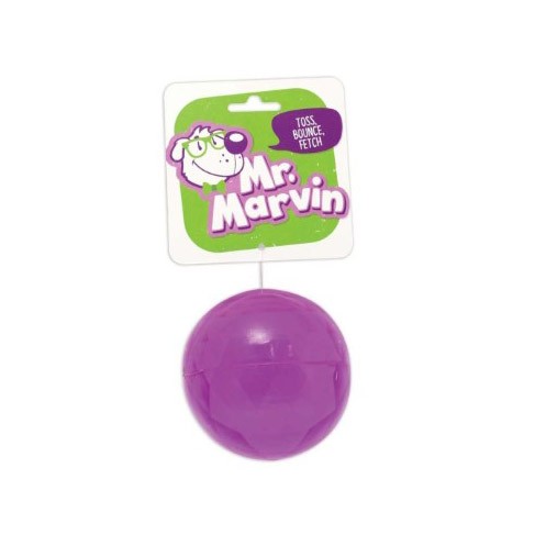 Mr. Marvin Fetch Ball