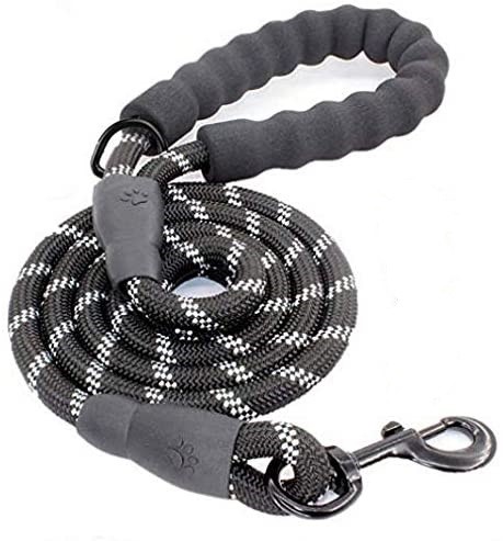 Litthing Correa para el Perro Nylon