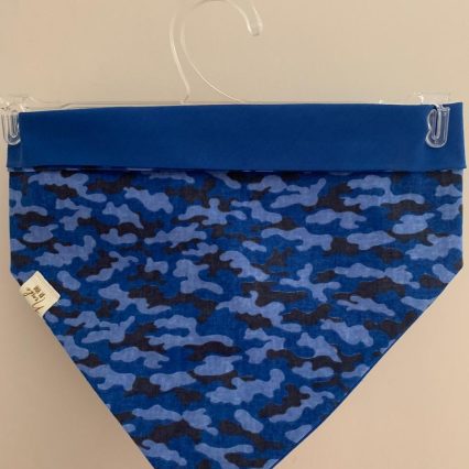 Bandana Nambi