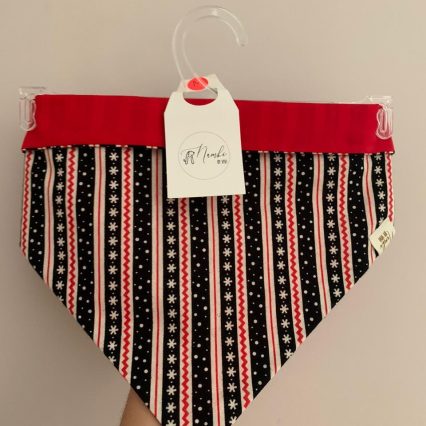Bandana Nambi
