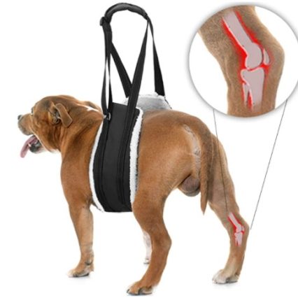 Bolux- Arnés de evaluación patas traseras