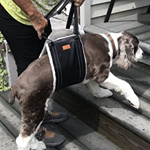BOLUX HARNES DE ELEVACION PARA MASCOTAS