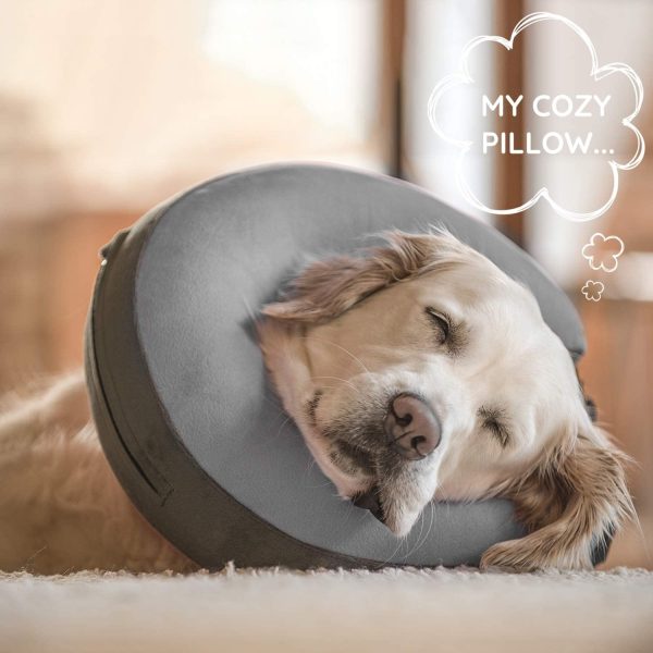 GoodBoy - Collar de recuperación para perros y gatos