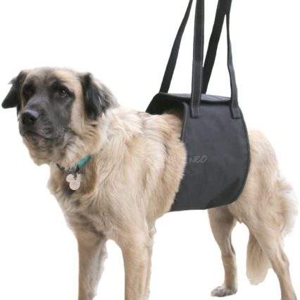 Arnés para perros con patas traseras débiles