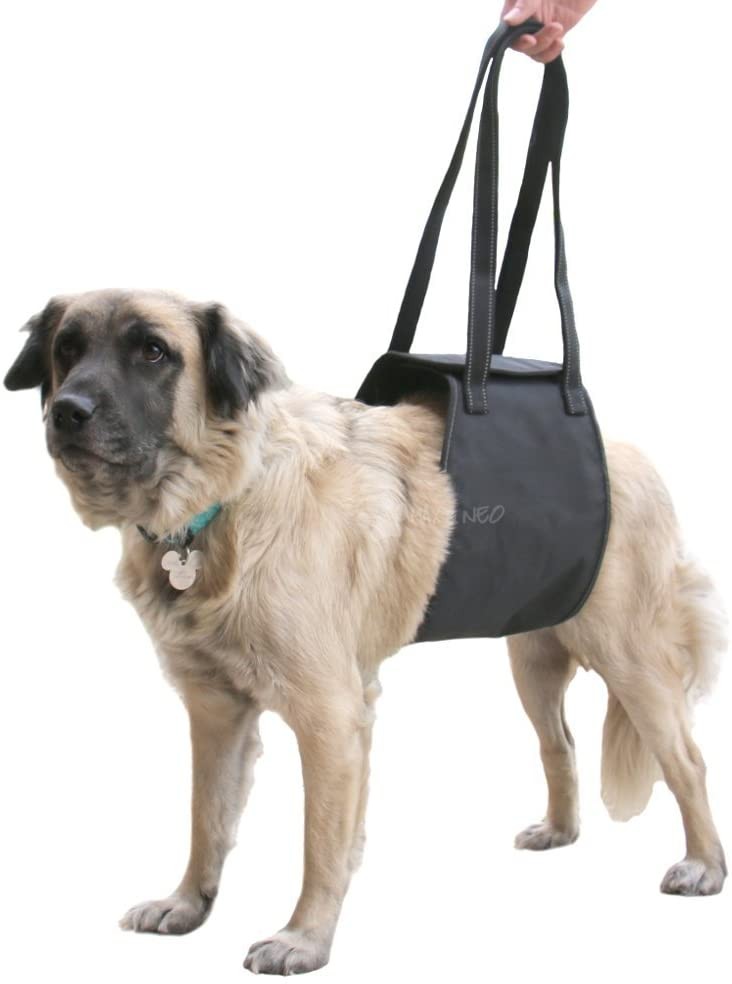 Arnés para perros con patas traseras débiles