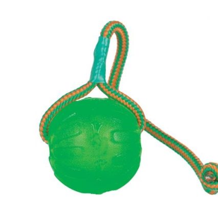 Starmark Swing & Fling