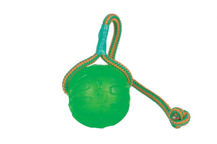 Starmark Swing & Fling