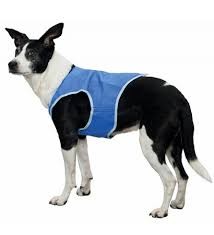 Chaleco Enfriador para mascotas