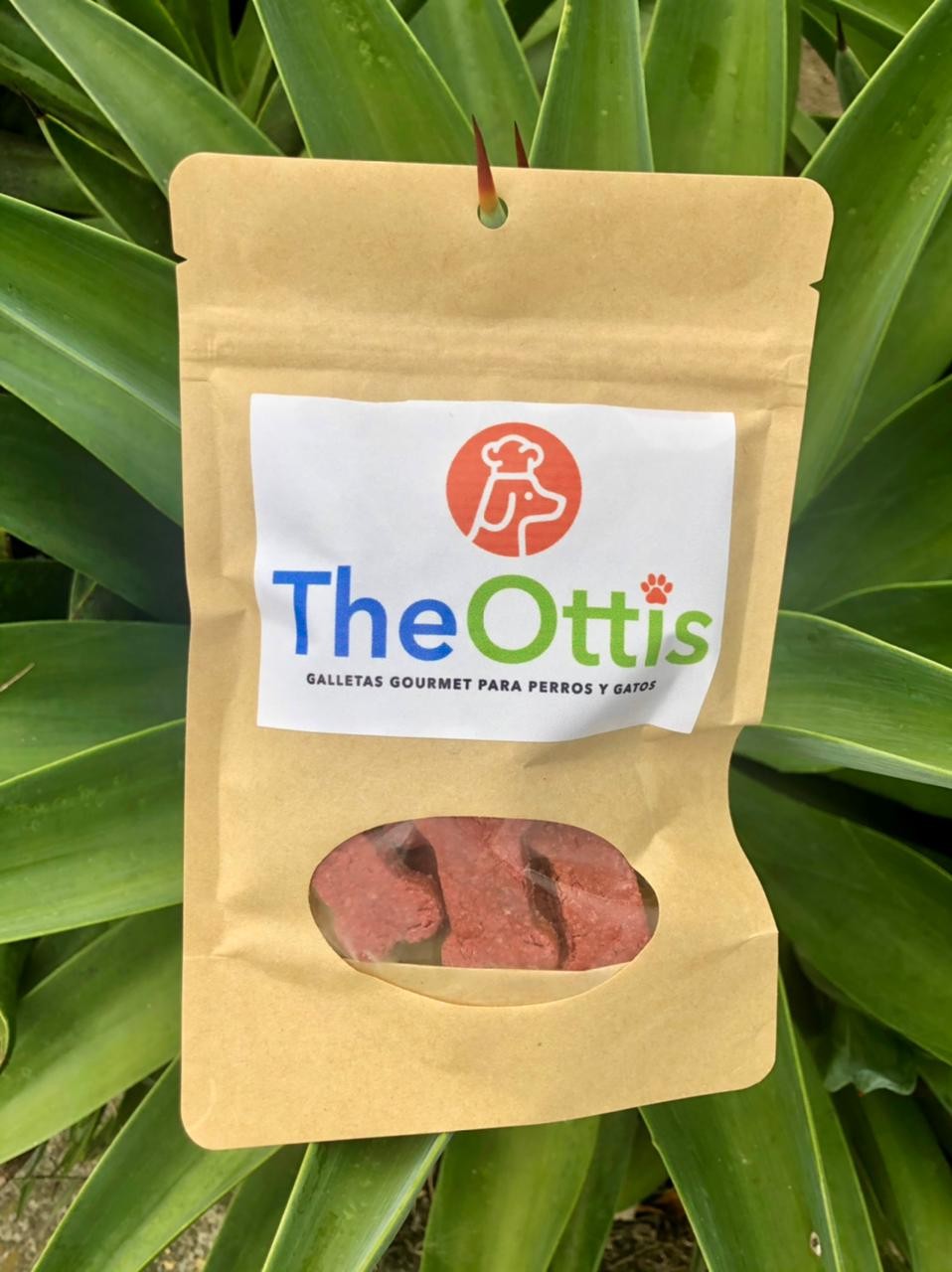 Galletas de carne de res